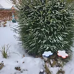 Am Hausberg In *
