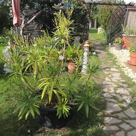 Lejlighed Am Hausberg In *