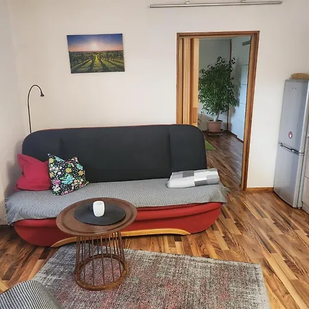 Apartment Am Hausberg In Radebeul