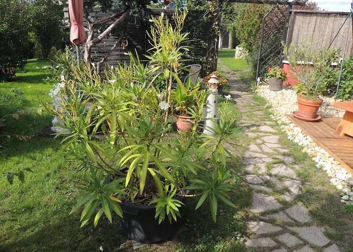 Apartment Am Hausberg In *