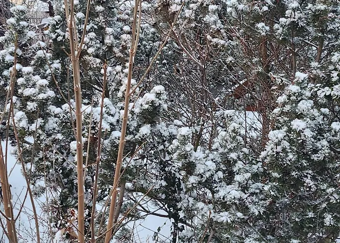 Am Hausberg In Radebeul